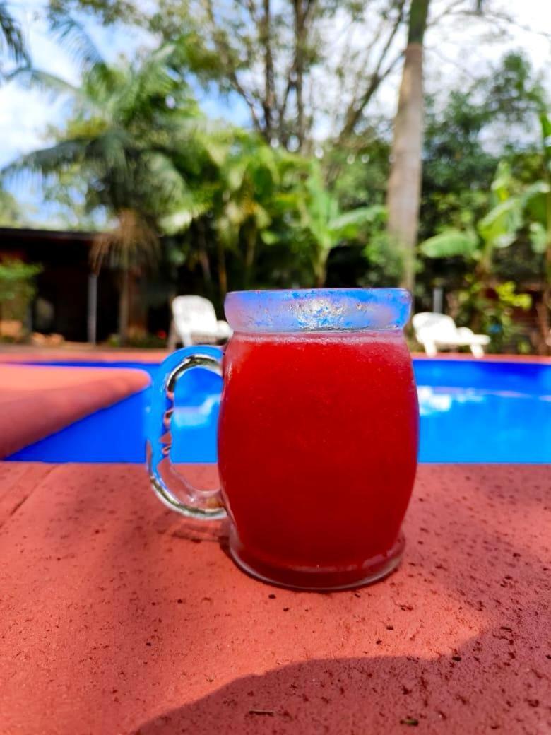 Posada Yvoty Hotel Puerto Iguazú Eksteriør billede